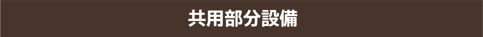 pݔ