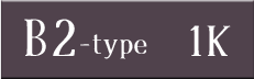 b2-_type